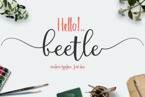 Beetle Duo Font: The Whimsical Typeface That Elevated My Brand