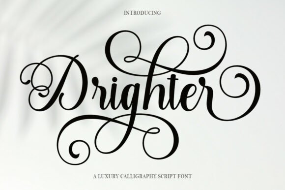 Drighter: A Romantic Script Typeface for Web Design