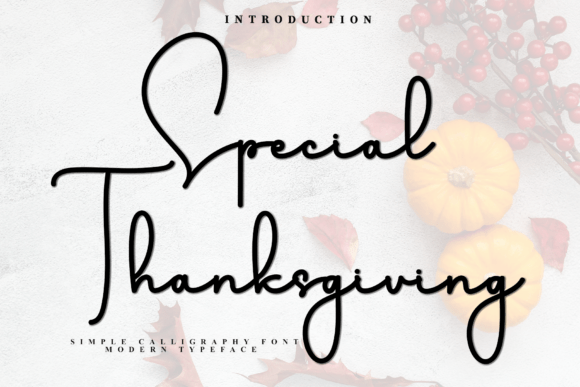 Special Thanksgiving: A Display Typeface for Web Designers
