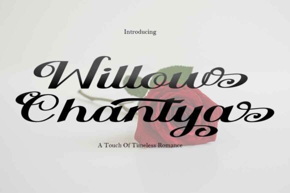 Willow Chantya: A Script Font for Expressive Web Design